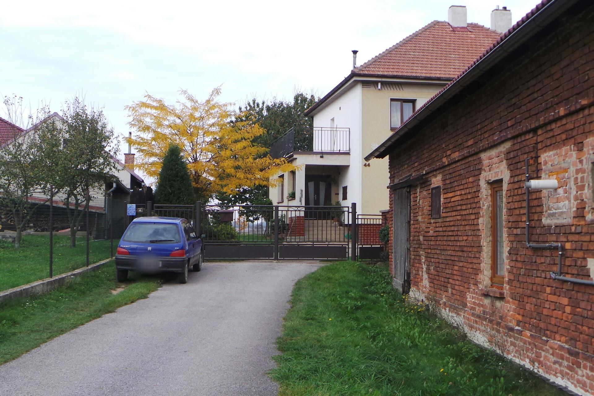 Hortenzie