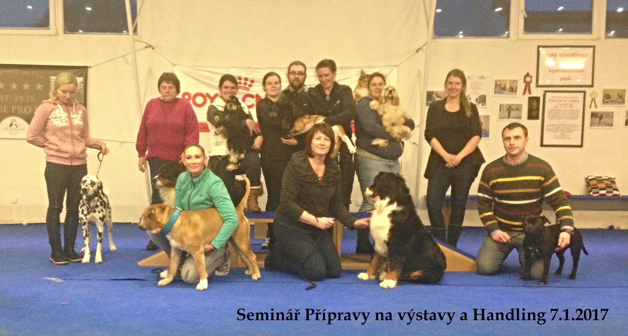 Psí škola Handlingu foto 4