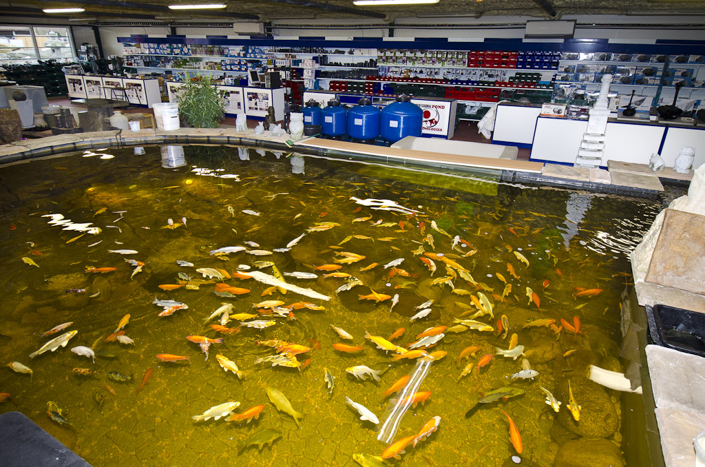 Vodní Království, s.r.o. foto 4