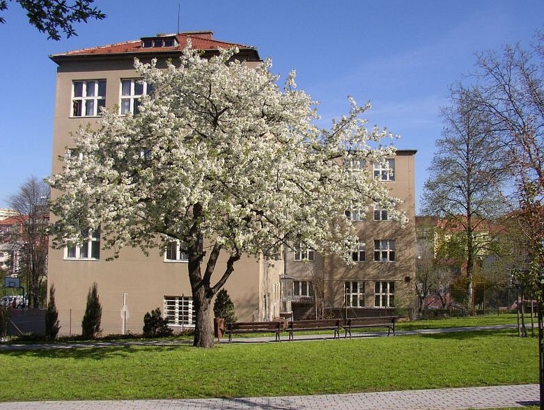 Střední zdravotnická škola, Tábor foto 3