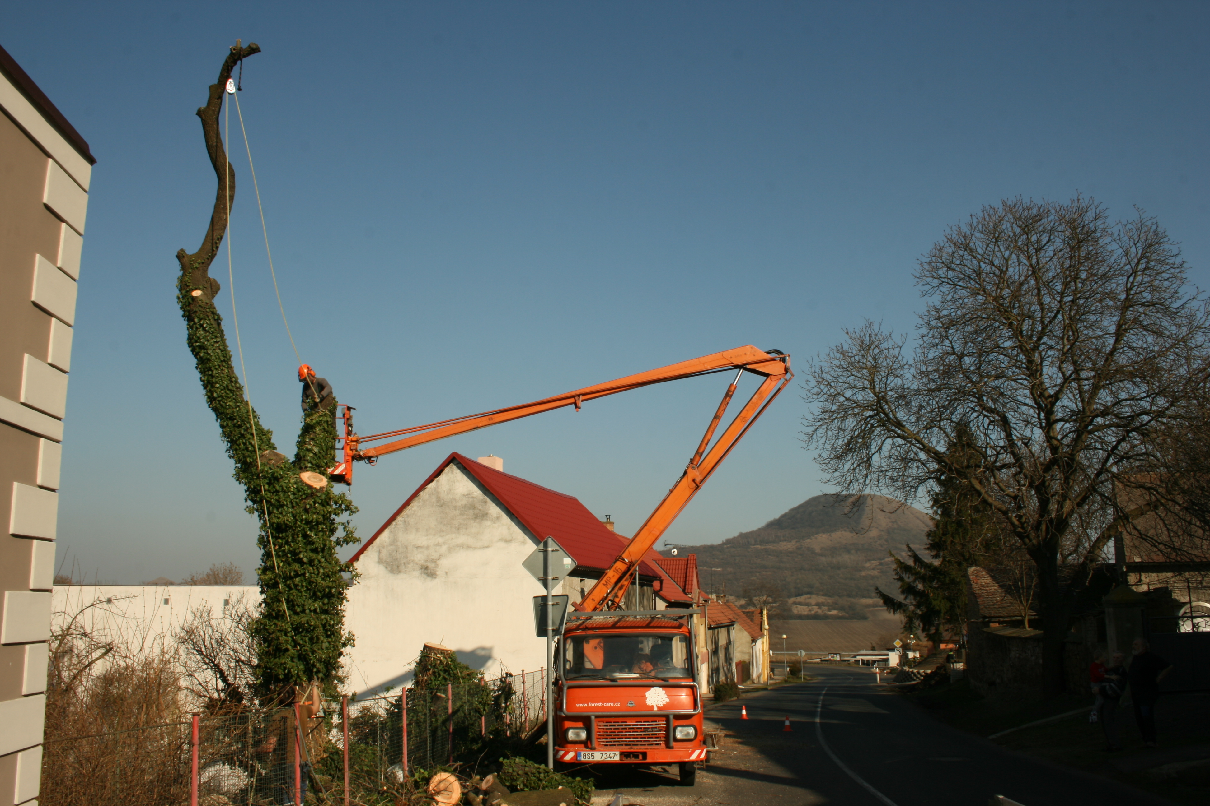 Adam Karhánek - ArborCARE foto 2