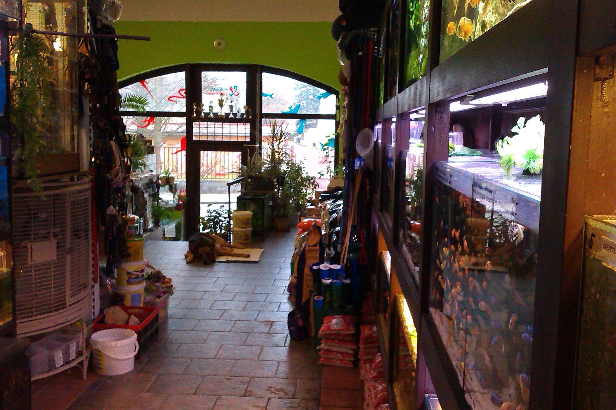 Radana Tiralová - RYBIČKY & ZVÍŘÁTKA foto 5
