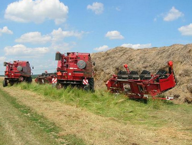 Zemědělské družstvo Kokory foto 6