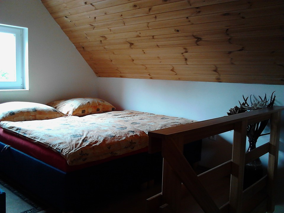 UBYTOVÁNÍ DĚTENICE – Vlasta Daušová foto 4