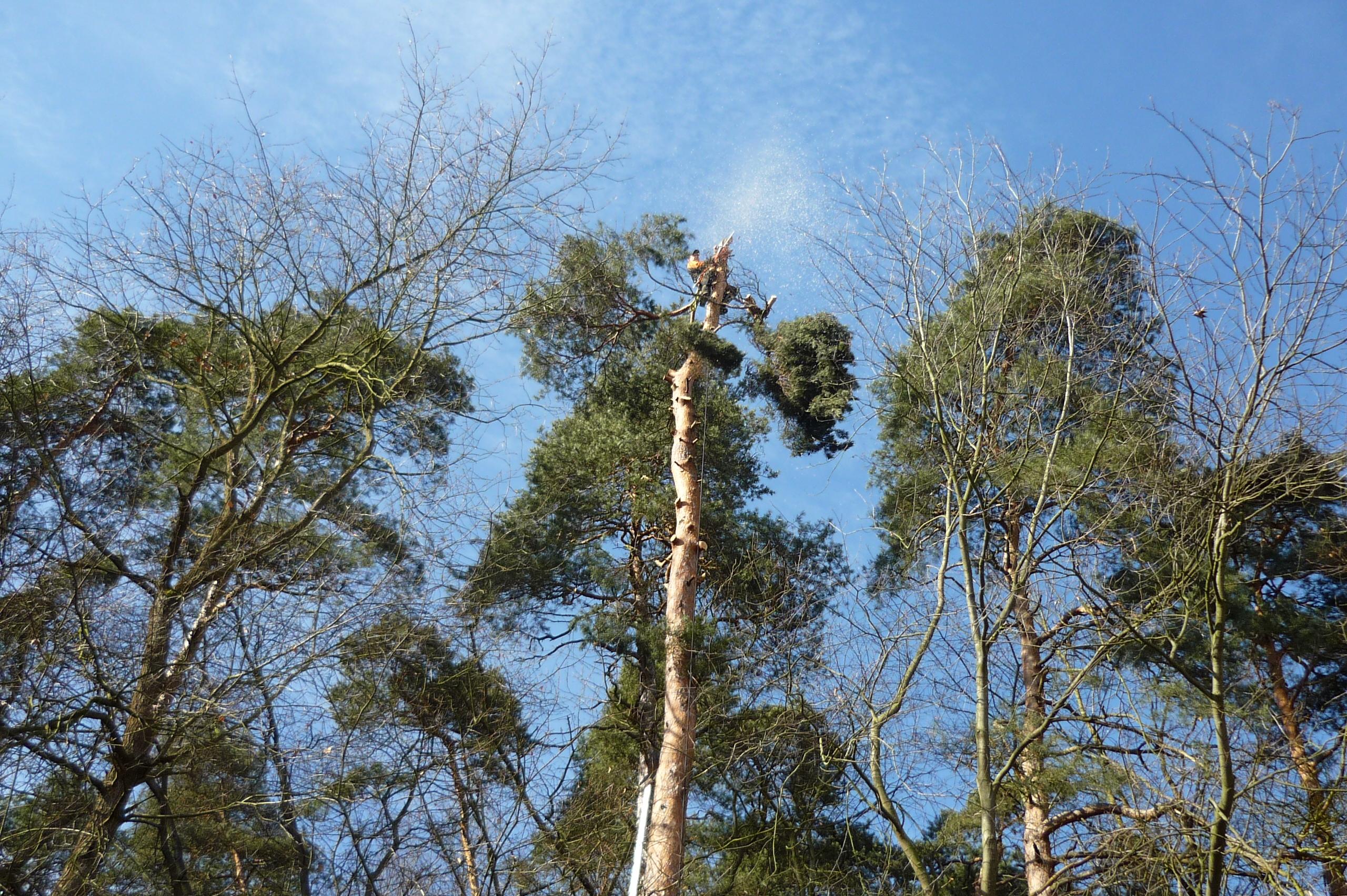 Výškové práce Roštík
