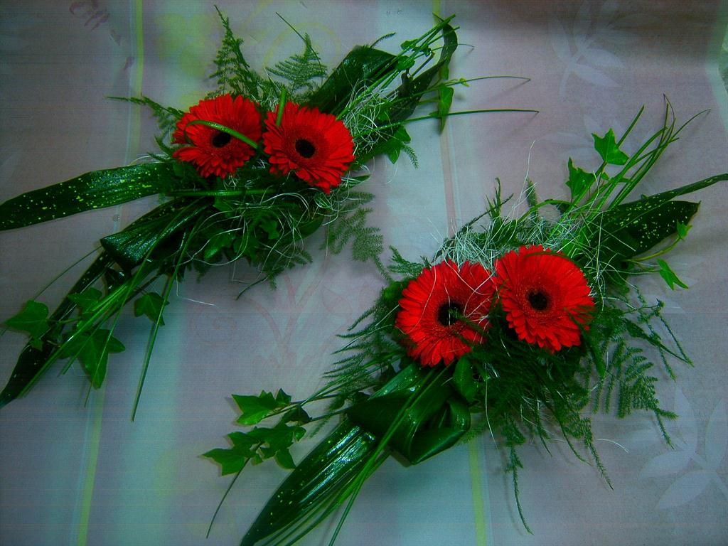 Květinářství Mirka foto 2