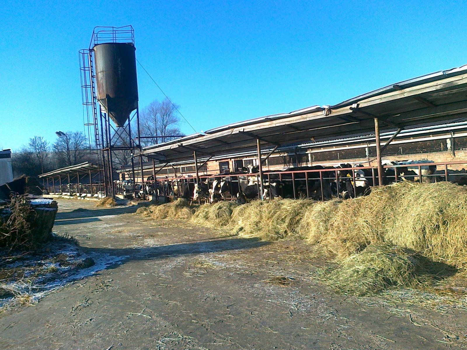 AGRODRUŽSTVO MORKOVICE foto 2