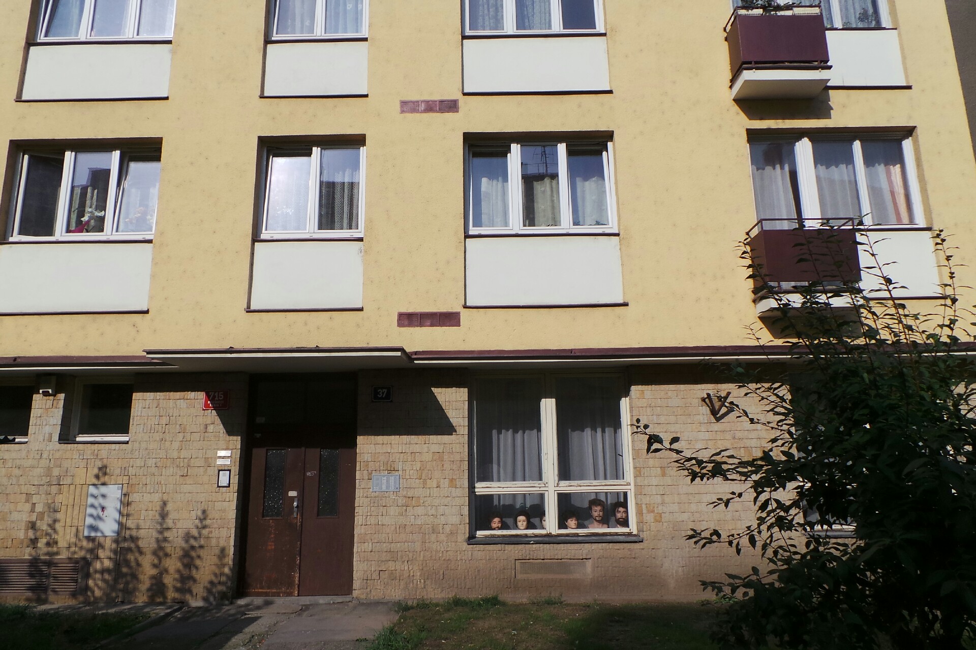 Psychiatrie MUDr. Zuzana Krausová