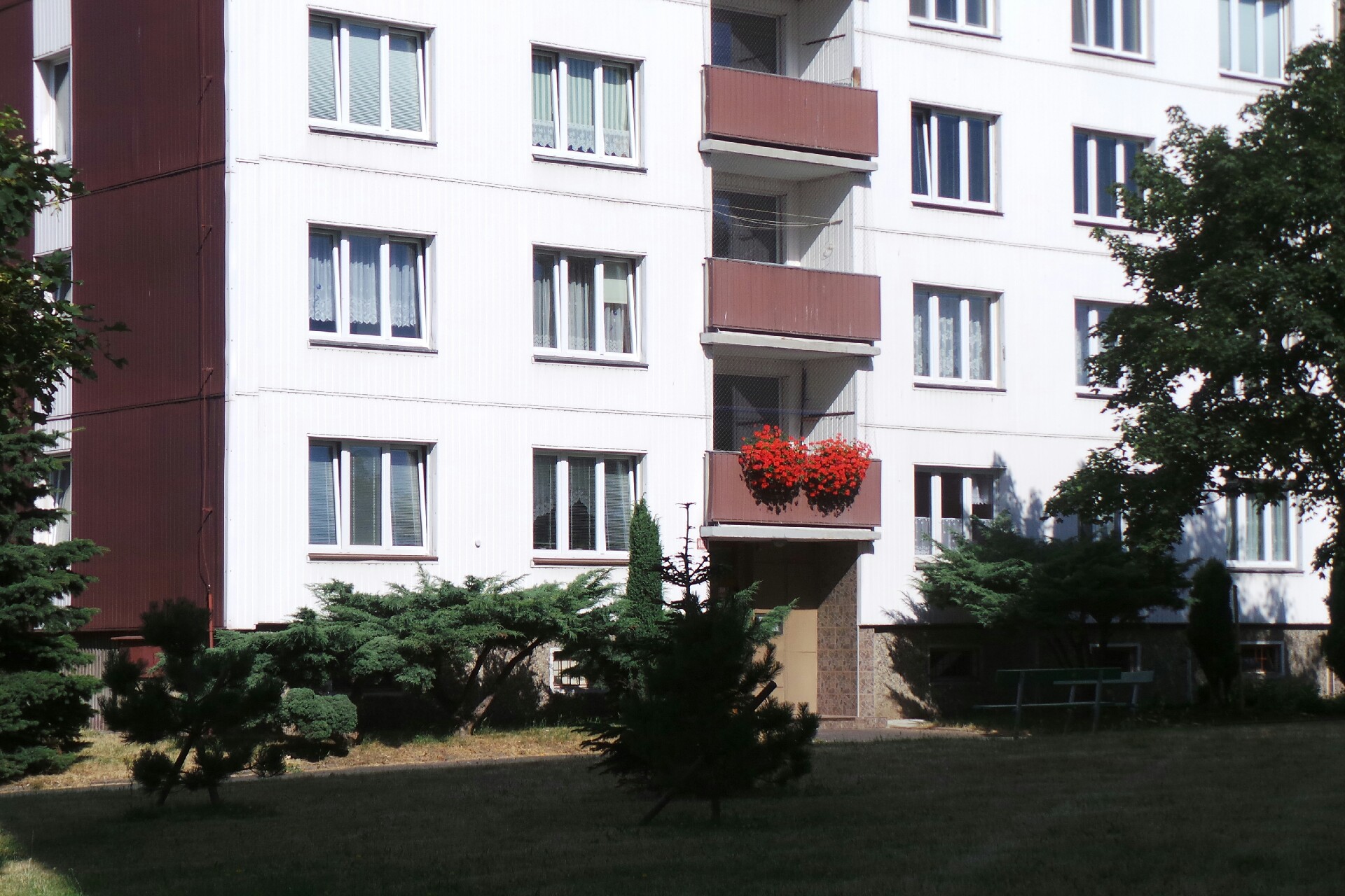 RADEKKO - Radek Kováč