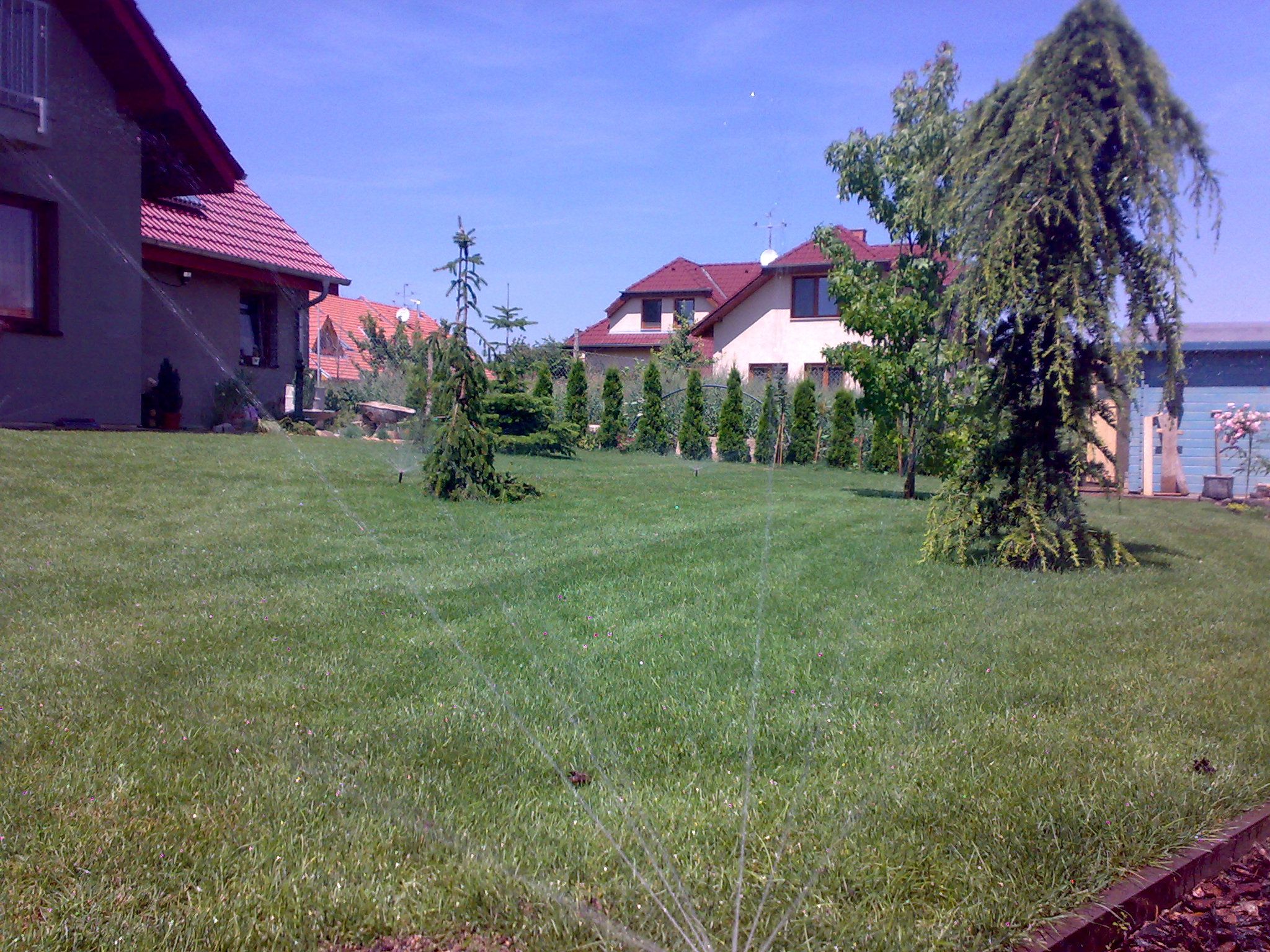 Petr Třeštík - Sprinkler System foto 3