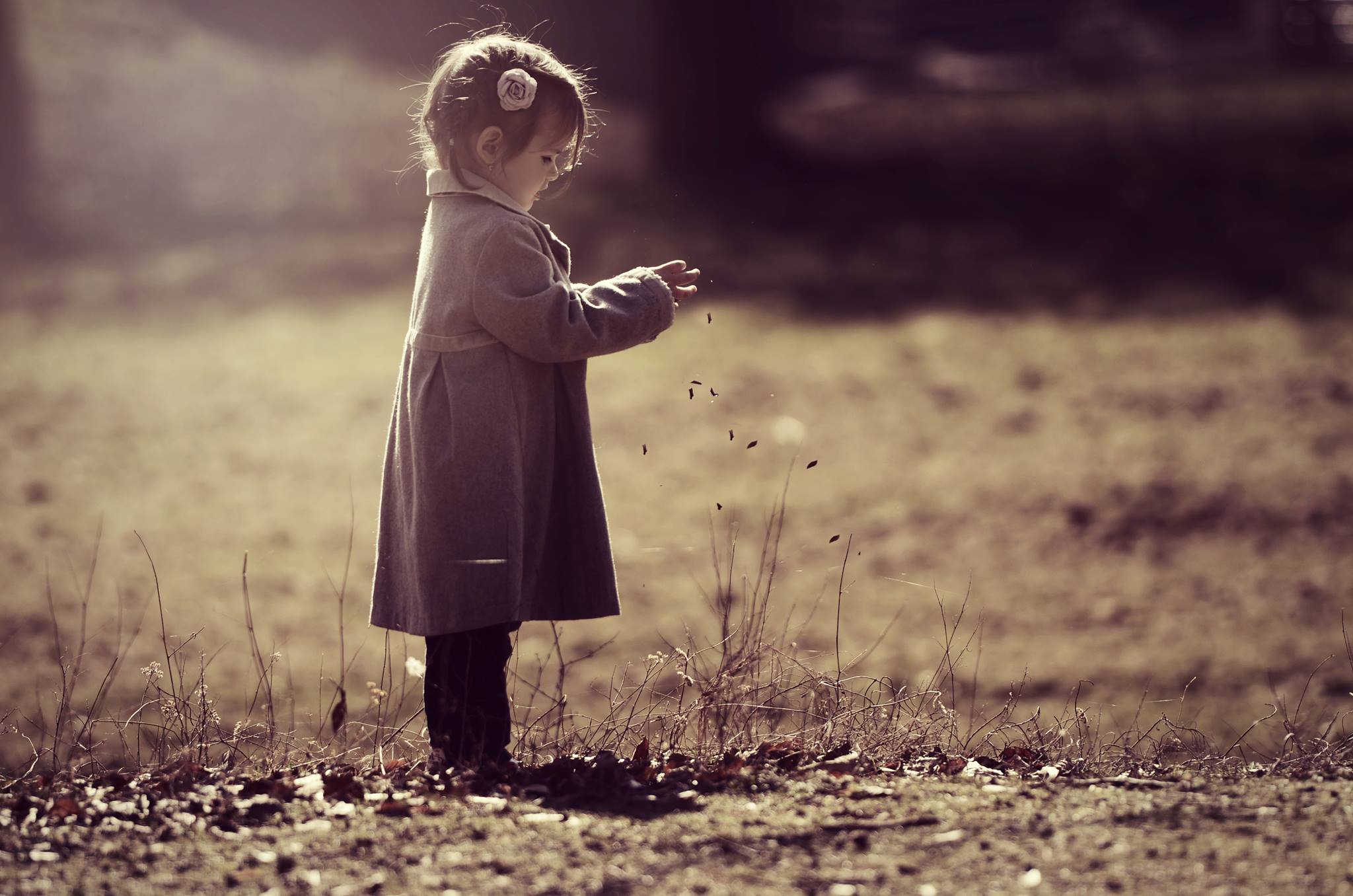 Ondřej Svoboda, Dis. foto 2