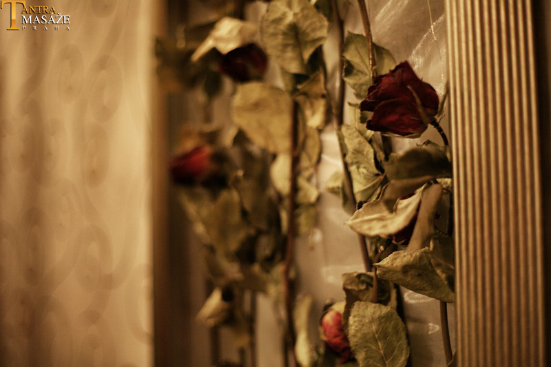 Oriental Spa & Wellness foto 4