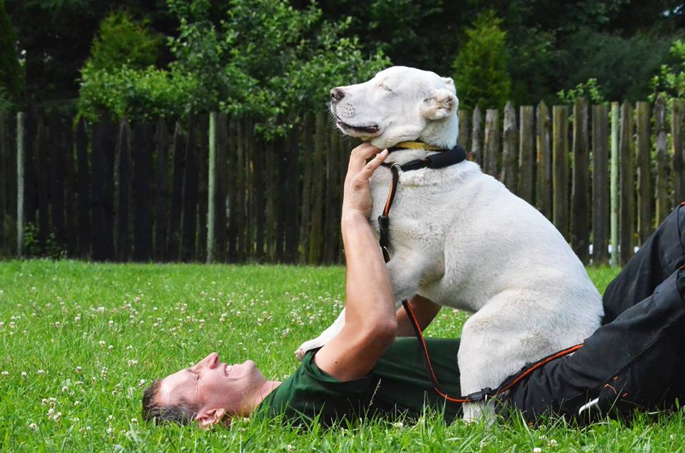 Kynologické cvičiště BRIT - Karel Stehlík foto 3