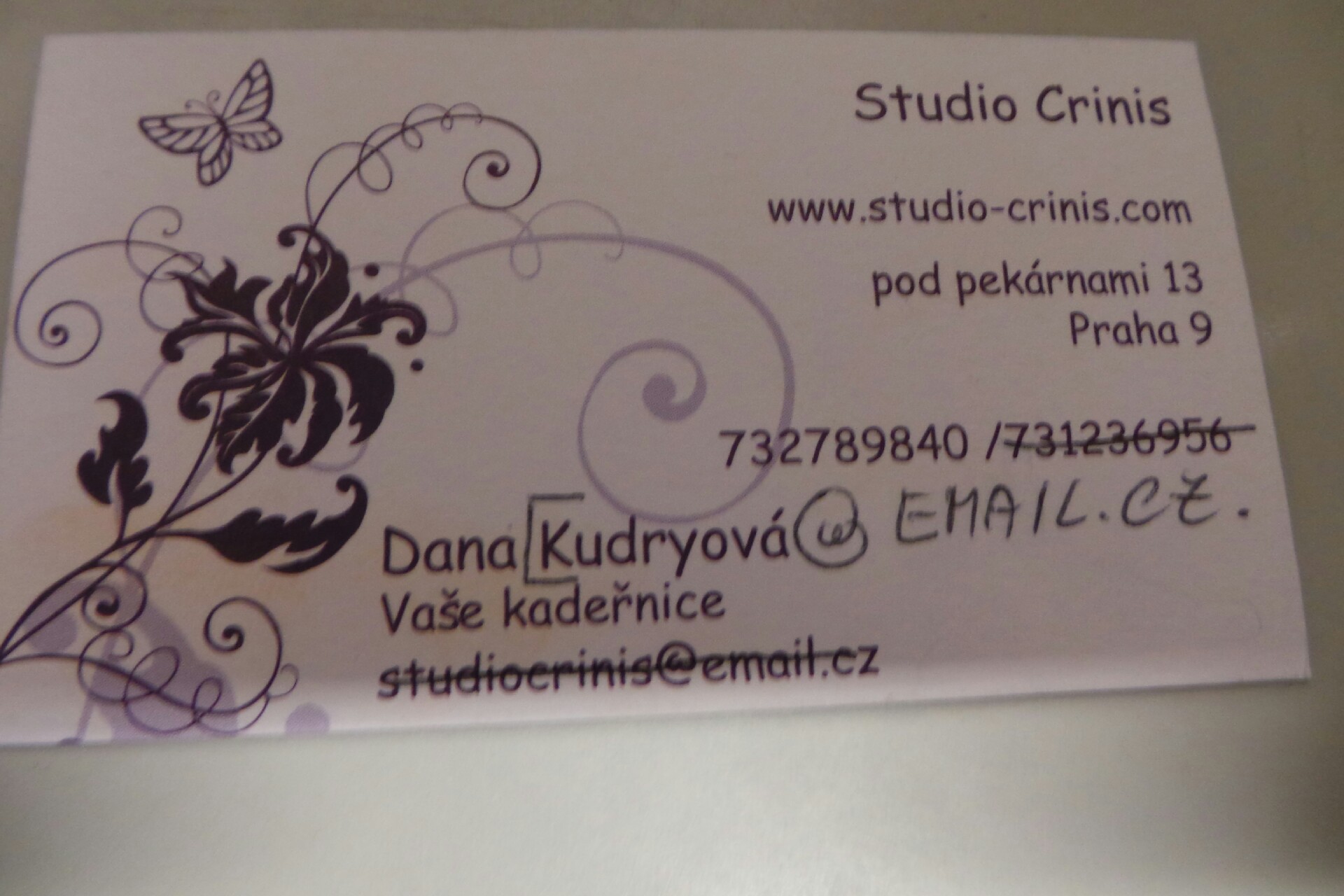 Studio Crinis foto 3