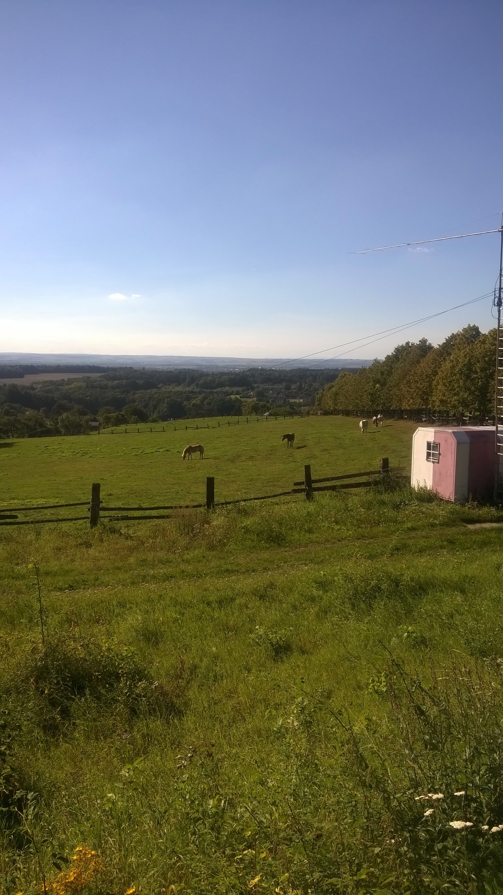 Jízdárna Ranč Moneta foto 3