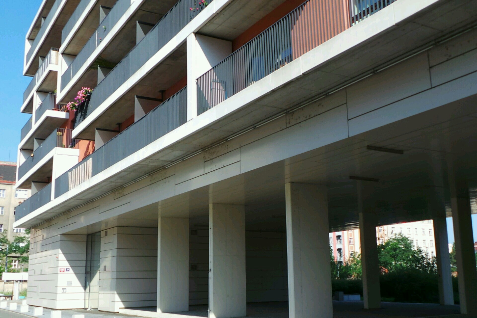 CARRERA NUEVA, s.r.o.