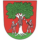 Město Rokytnice v Orlických horách