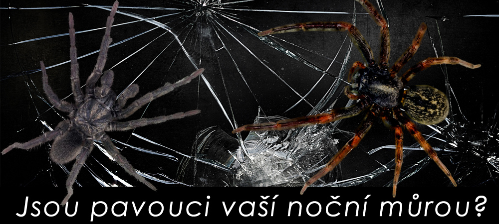 TH - MOBIL foto 2
