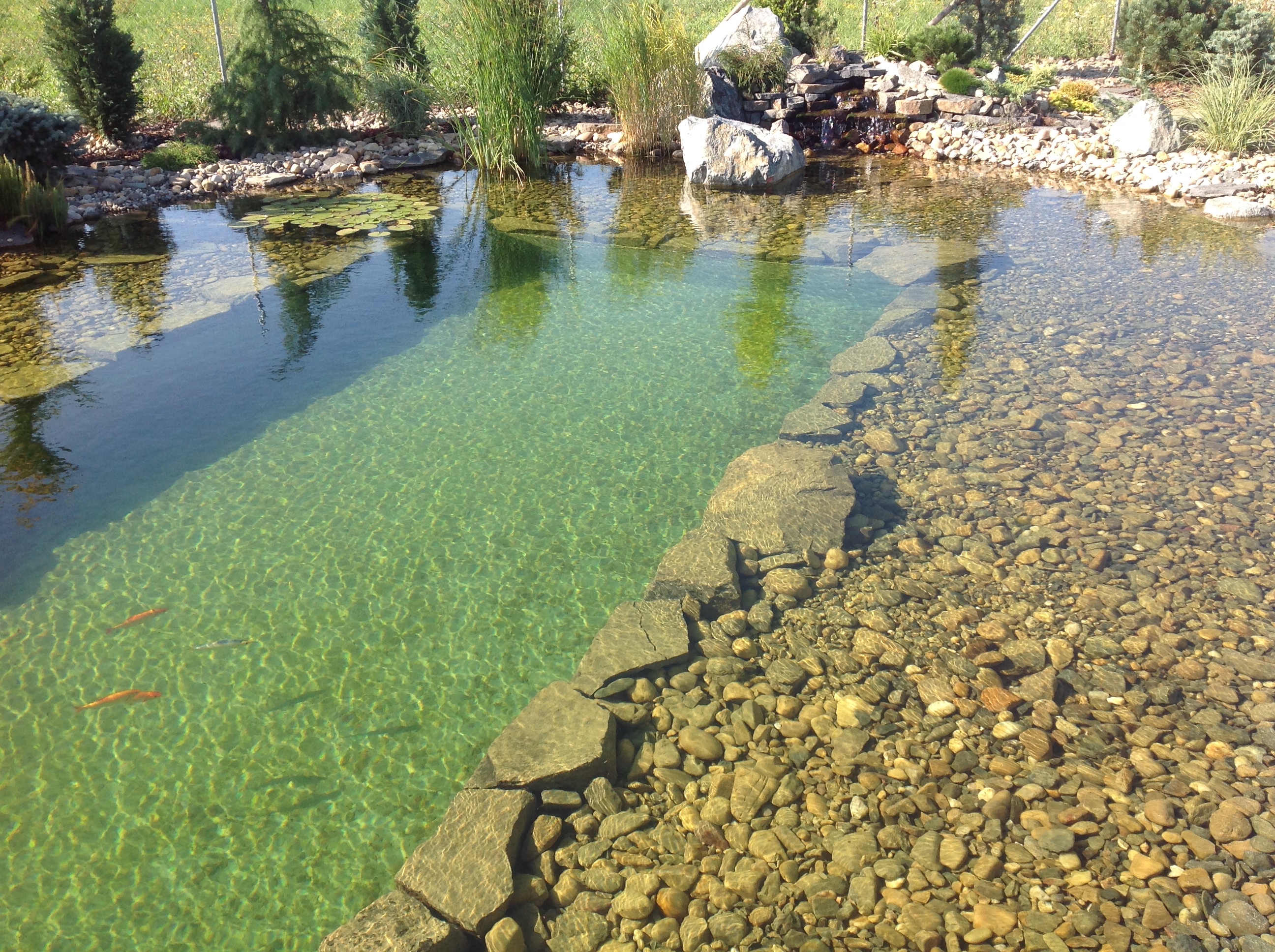 Zahradní jezírka - Garden partners foto 4