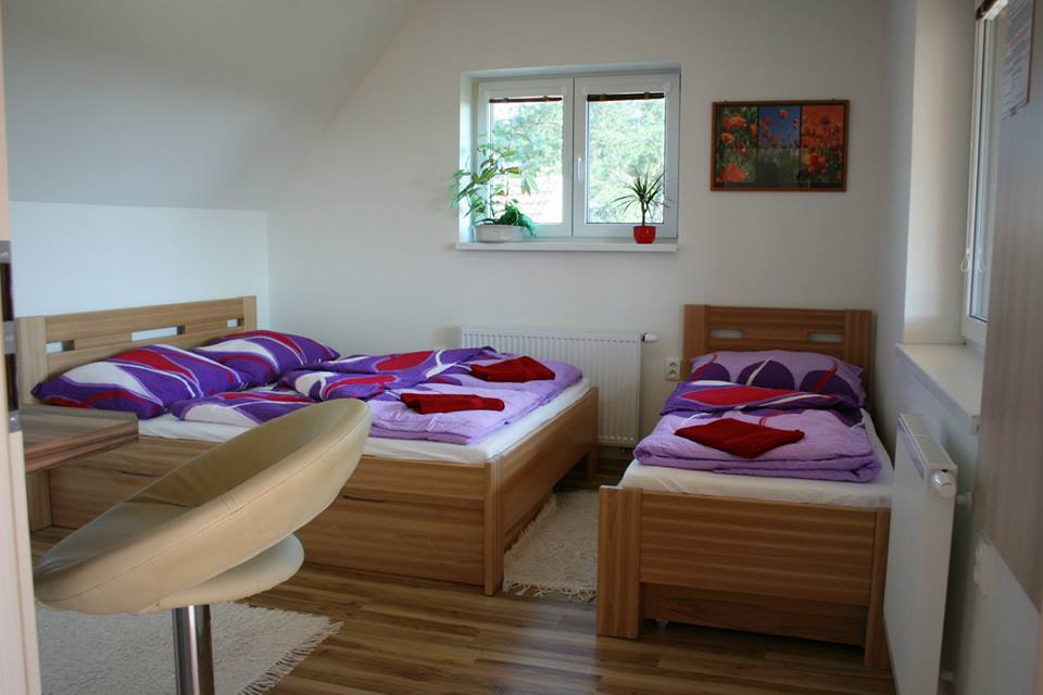 Penzion Pod Palavů foto 3