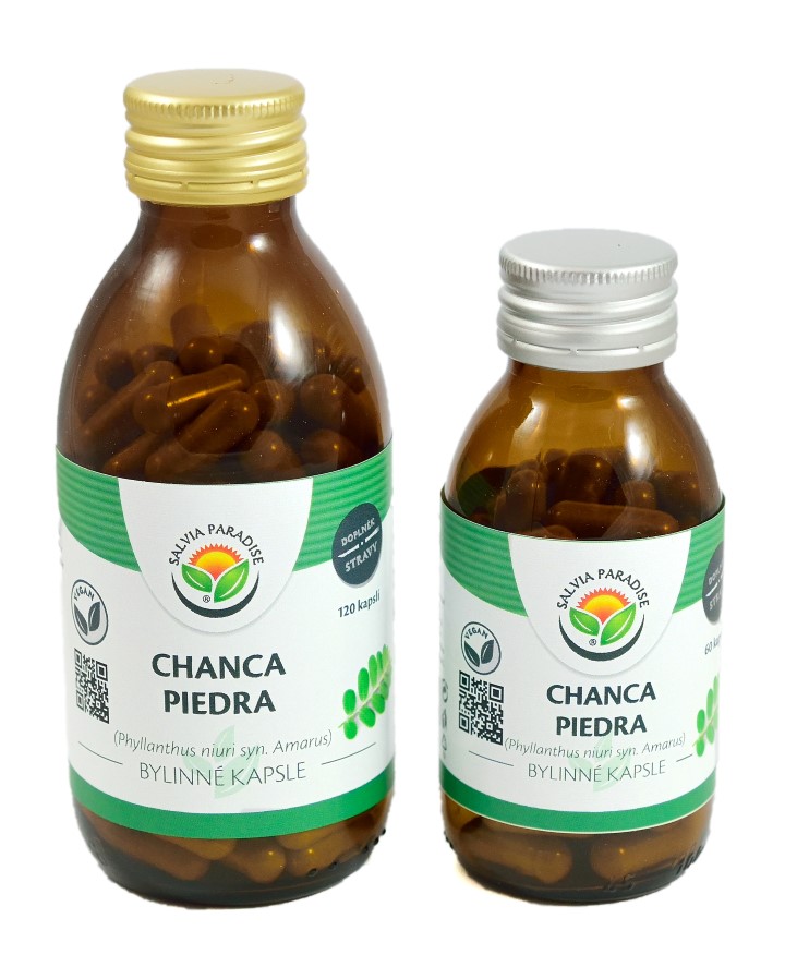 Salvia Paradise Shop foto 3