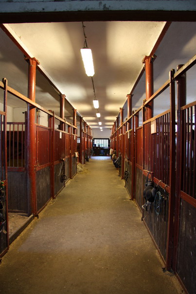 JK Obora Poděbrady foto 2