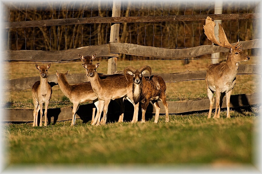 Penzion U DORŇÁKŮ foto 3