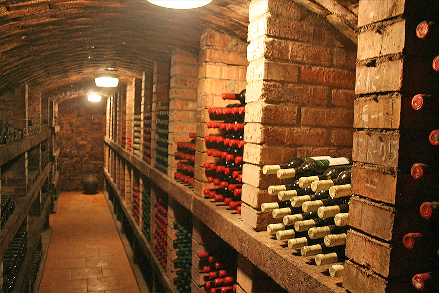 Vinařství Maláník - Osička s.r.o. foto 3