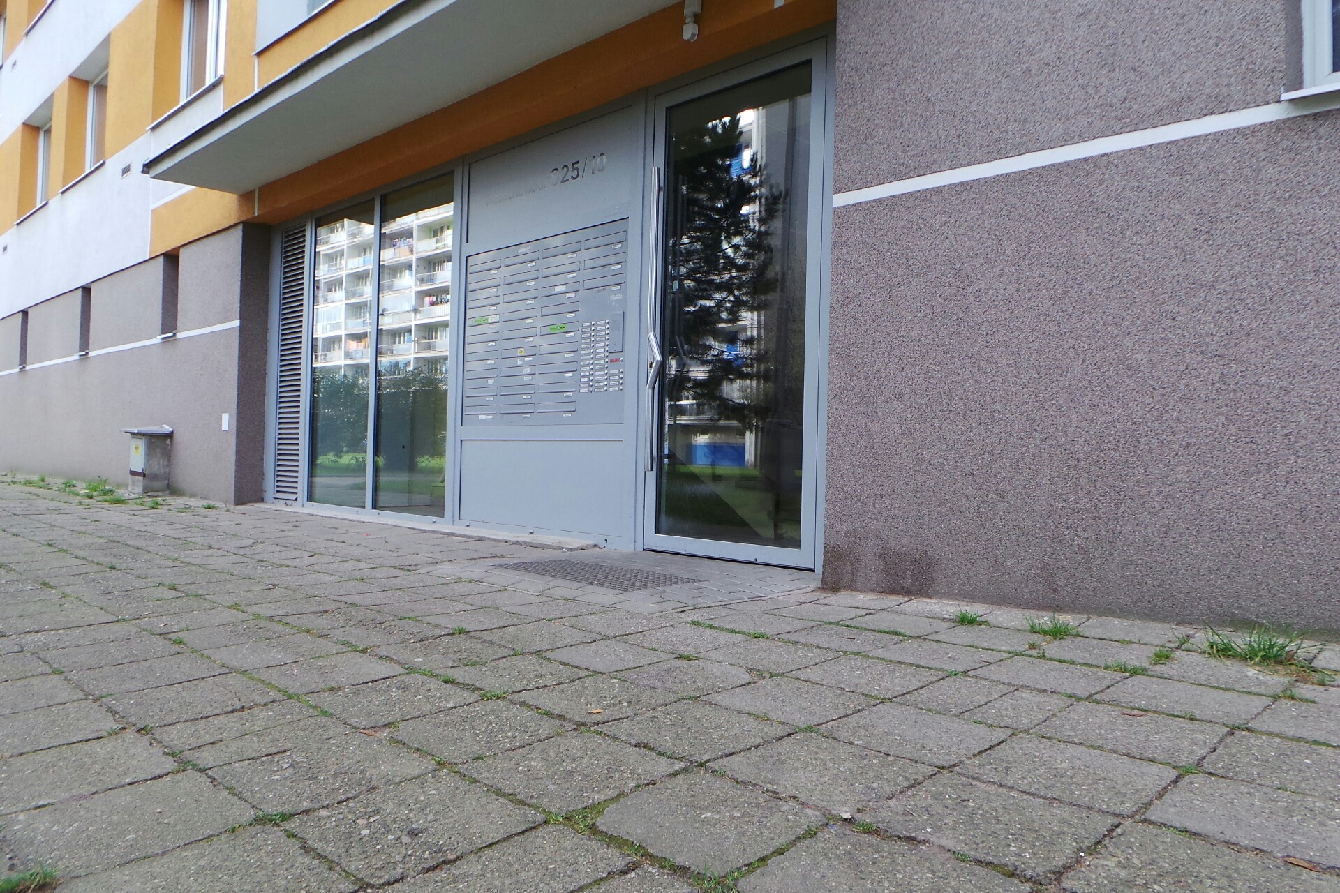 Deratizace - Firma Pařez