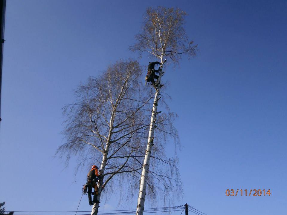 Lukáš Konopiský - Rikastr.cz foto 6