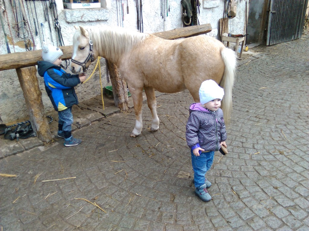 Jezdecká stáj Radčice, z.s.