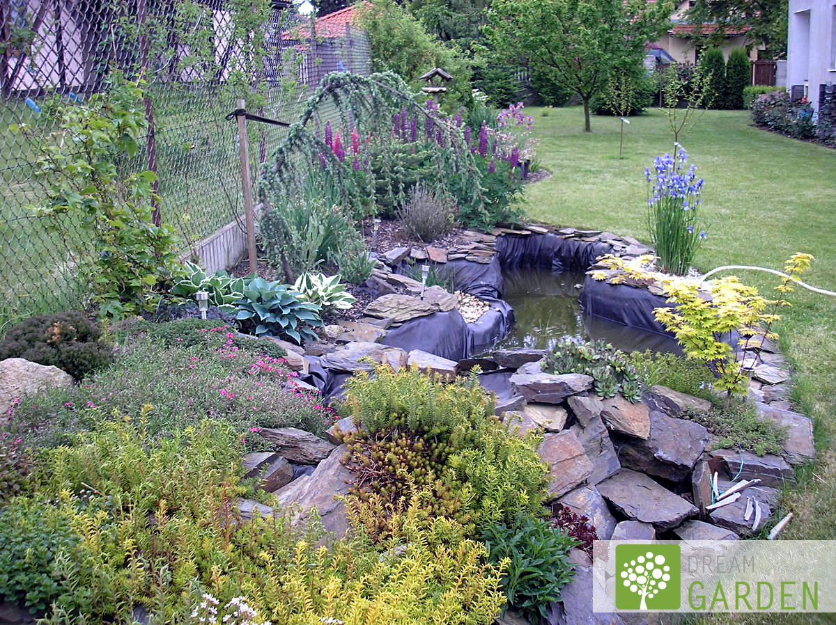 Dream Garden foto 4