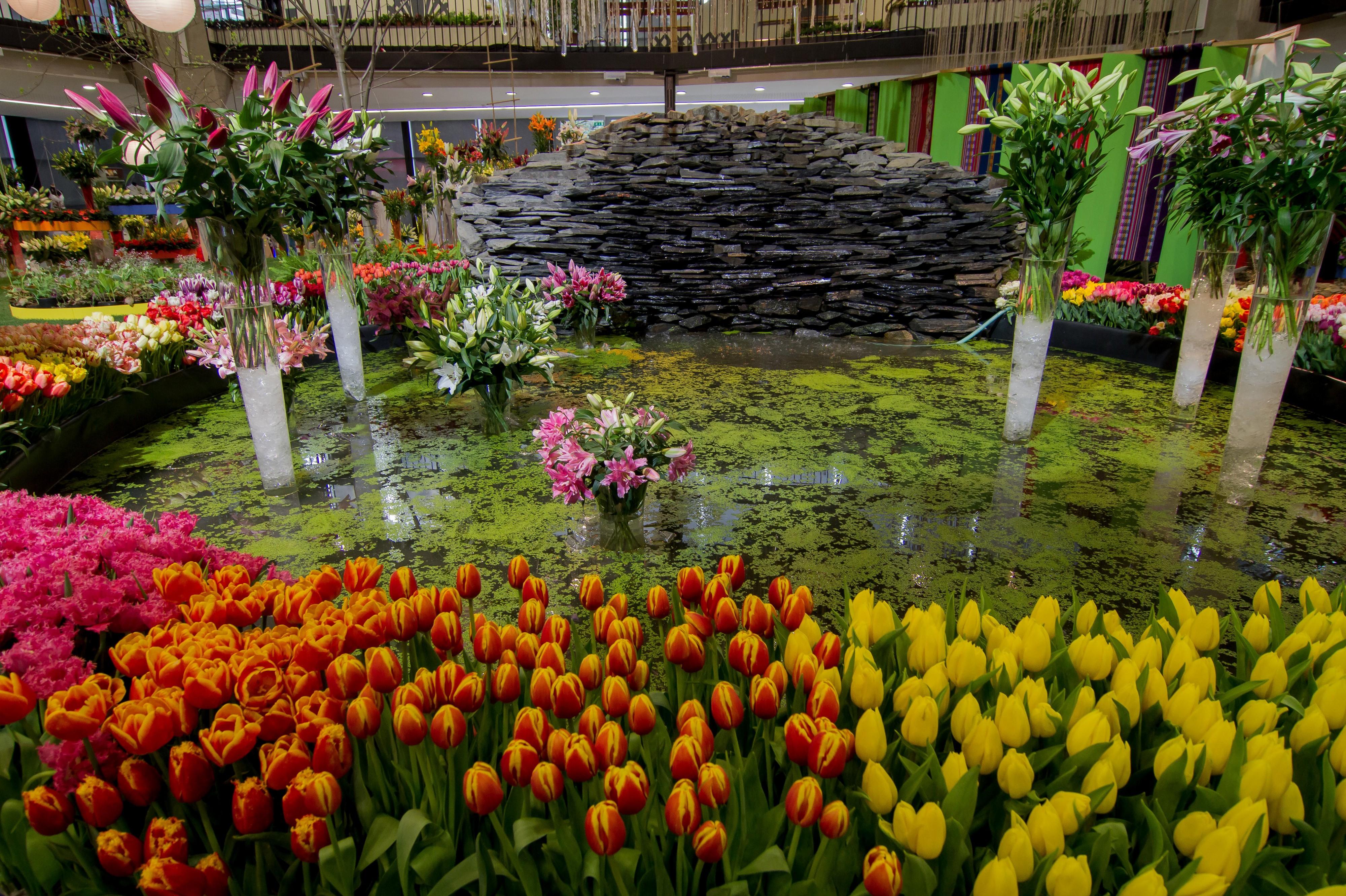 Výstaviště Flora Olomouc foto 2