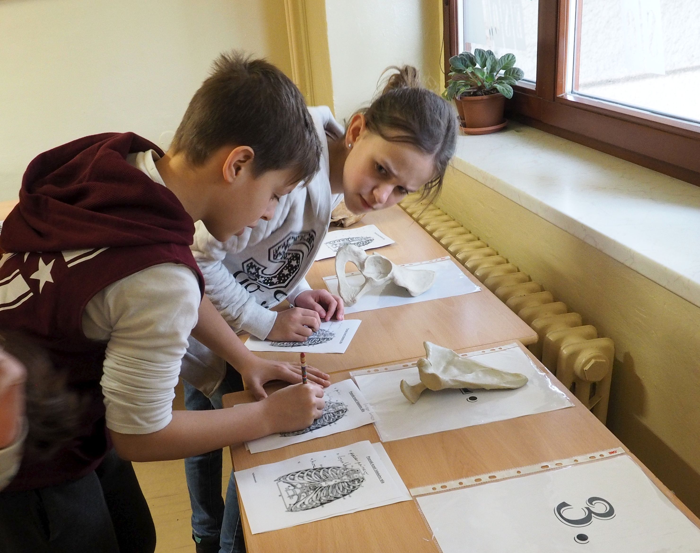 Trojské gymnázium foto 4