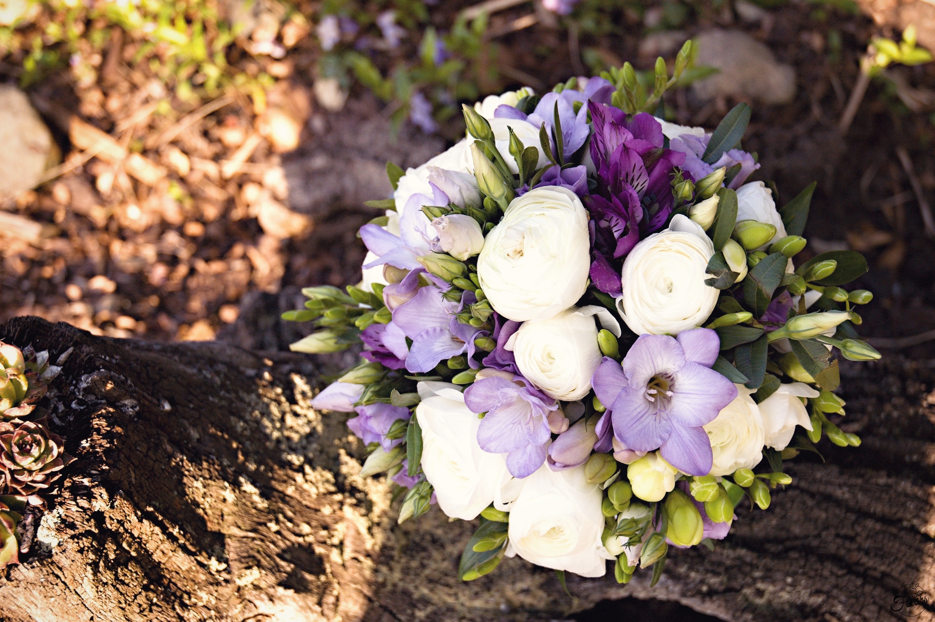 Květinářství Fleurs foto 4