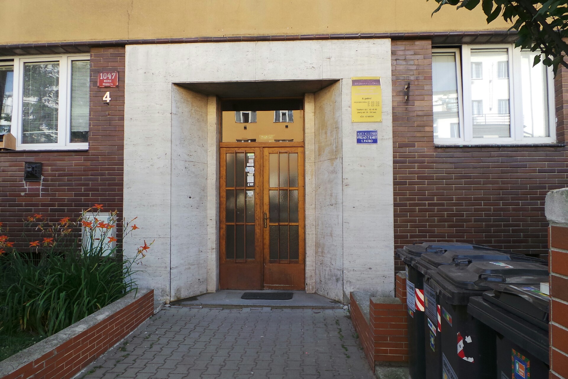 Spisovatelka a kartářka - Dagmar Kludská