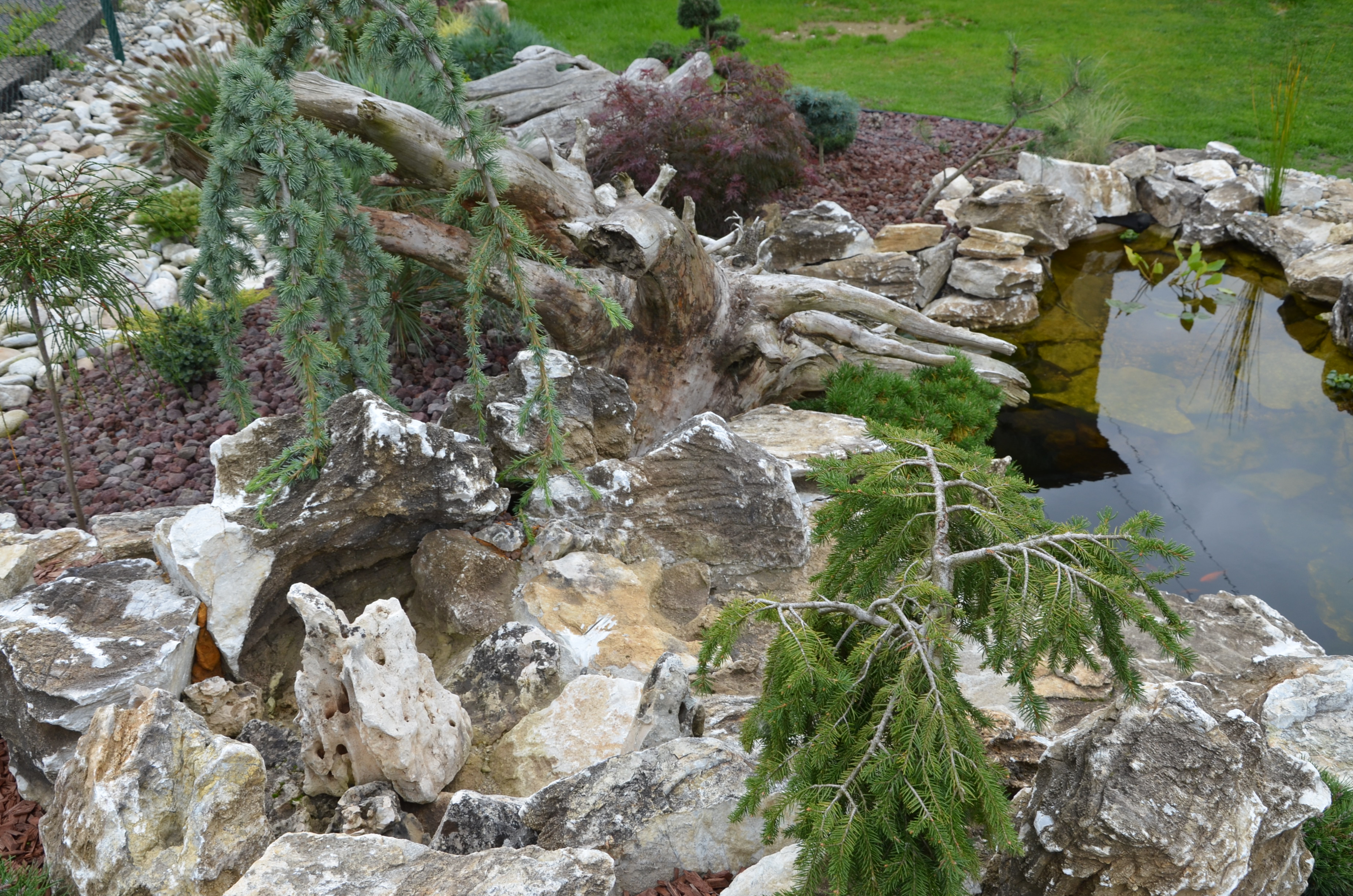 Zahradnictví na Barvínkově foto 4