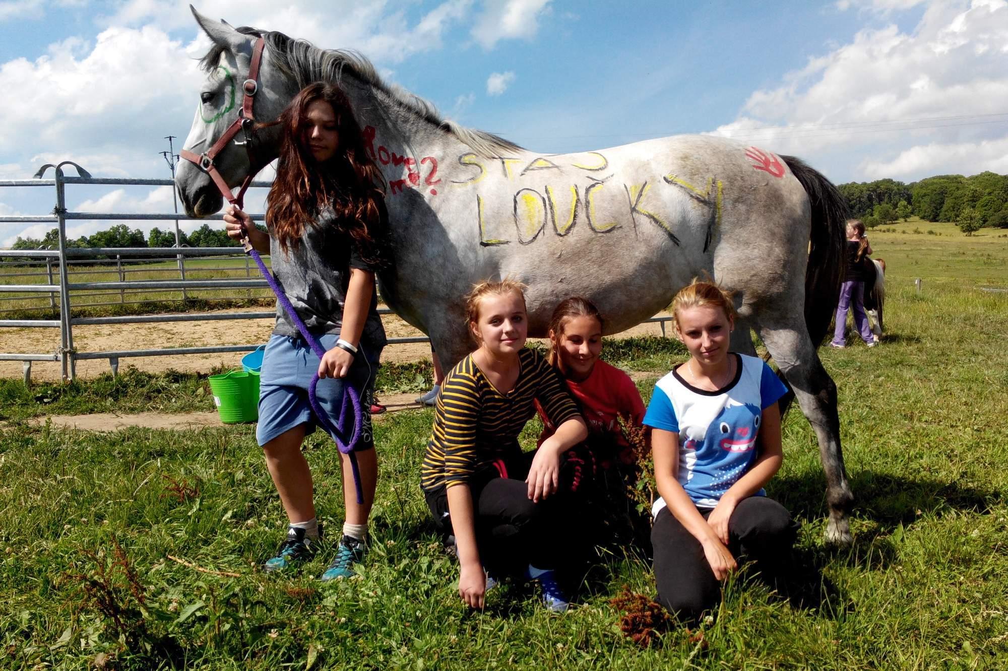 Stáj Loučky u Bobřího potoka