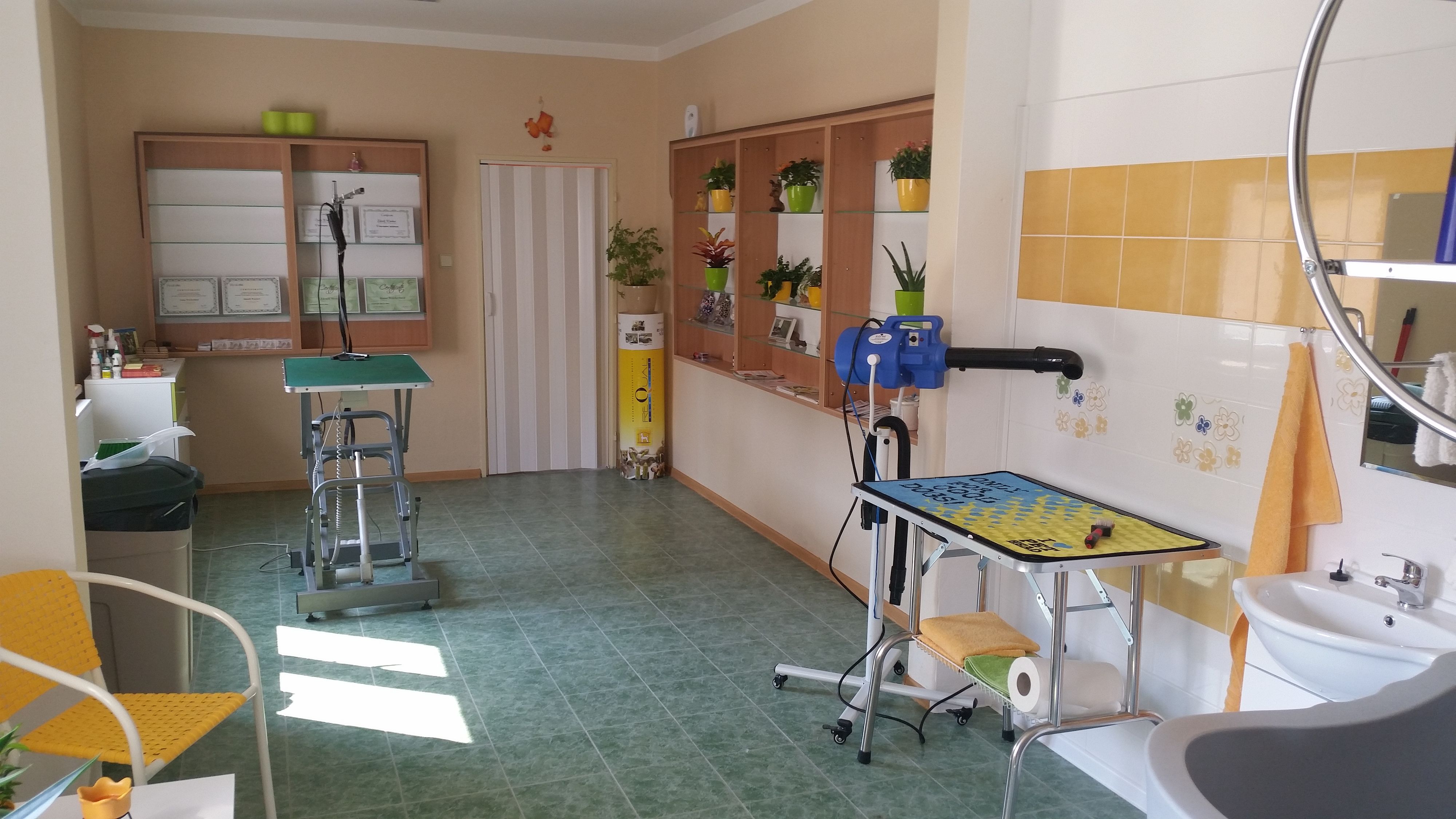 Salon a lázně pro psy AKIM - Ivana  Weickertová foto 2