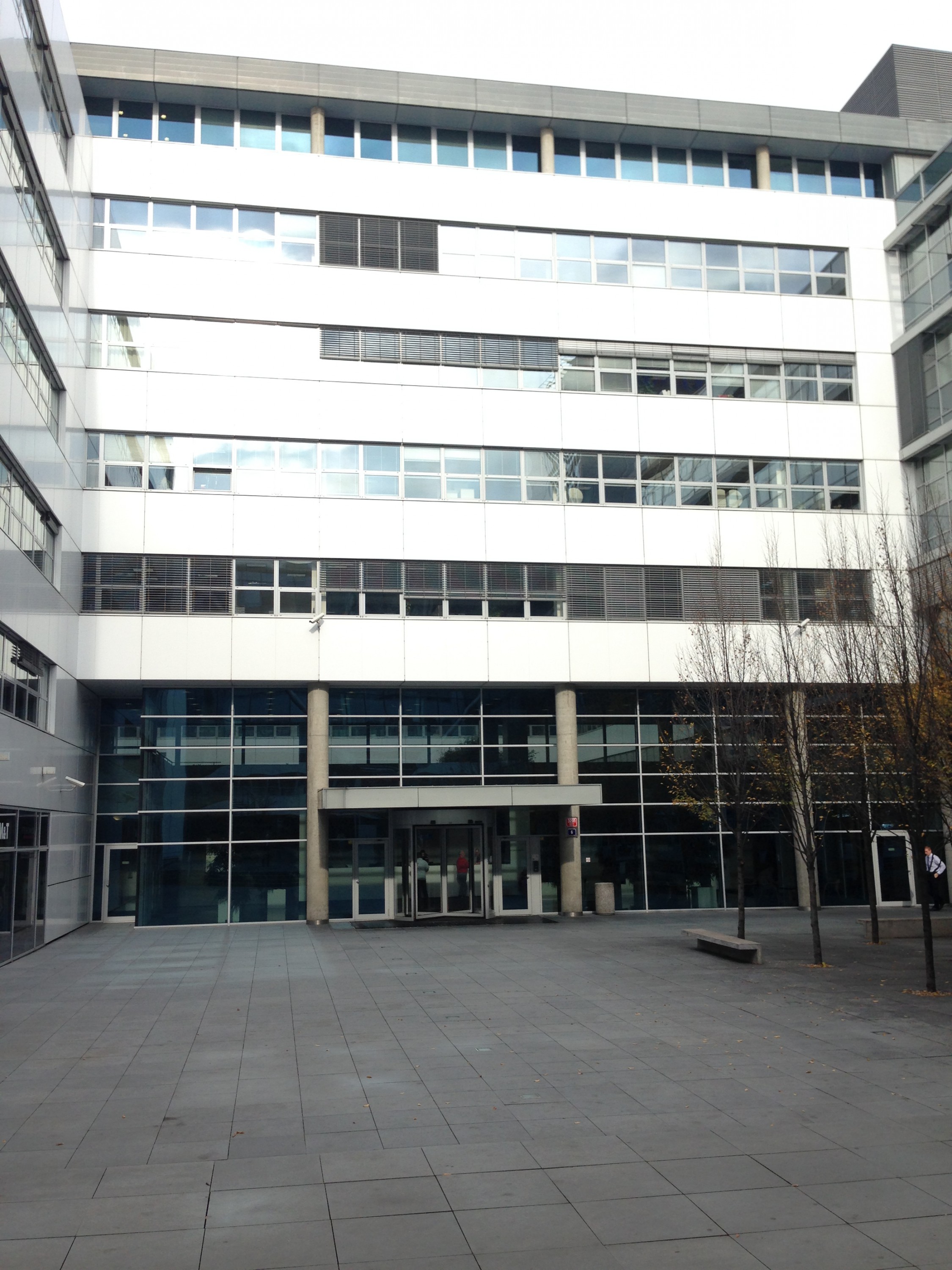 MOTIVATE CONSULTING foto 2