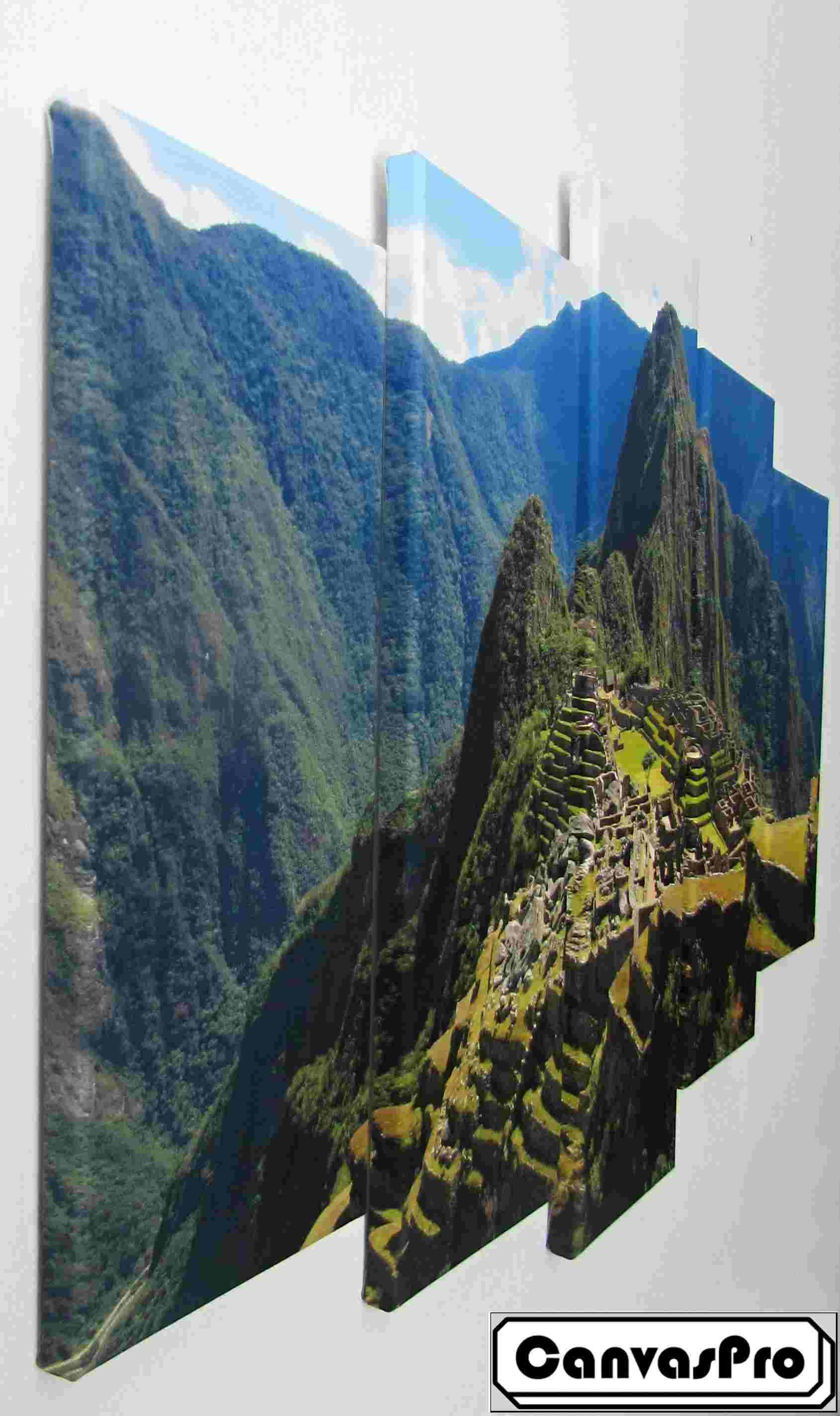 CanvasPro foto 3