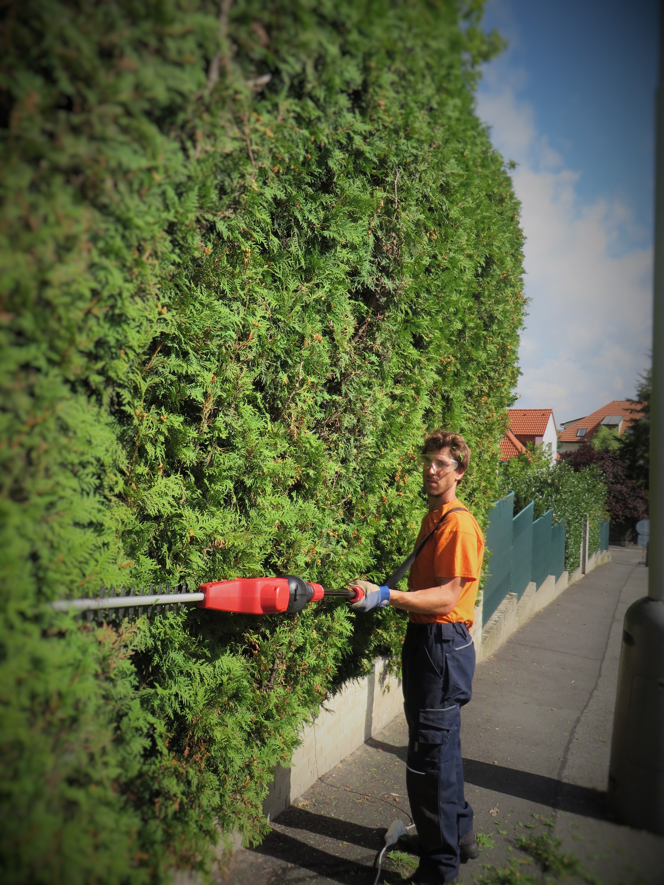 Dřevo a zem - Ing. Pavel Hlaváč foto 2