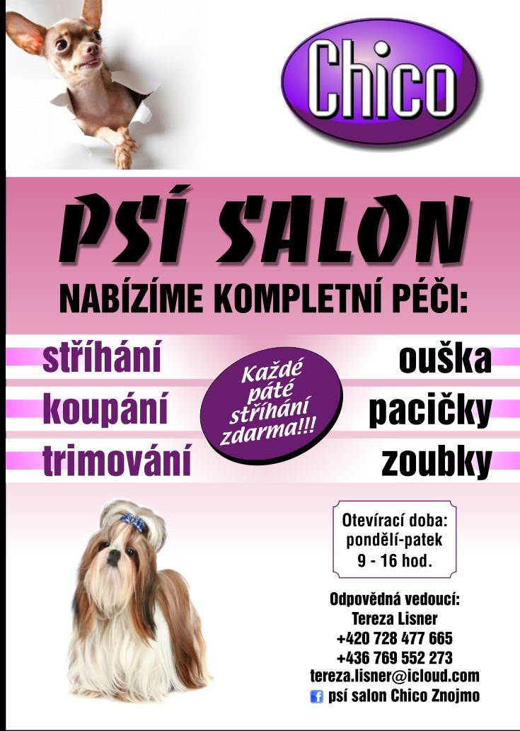 Psí salon Bestlive foto 2