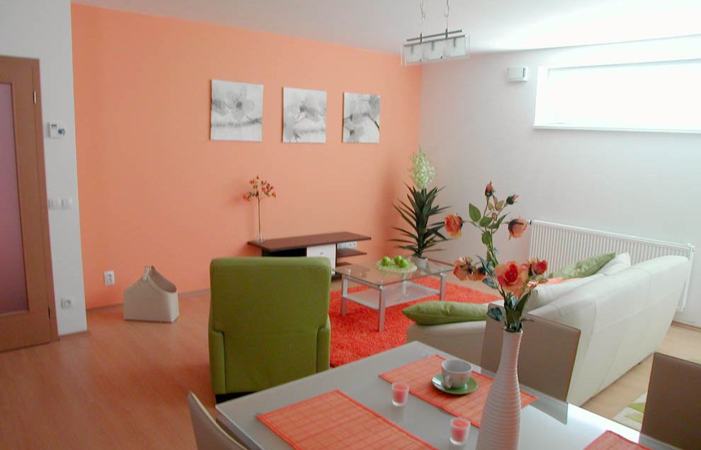 REMANAX - Jiří Piluša foto 3