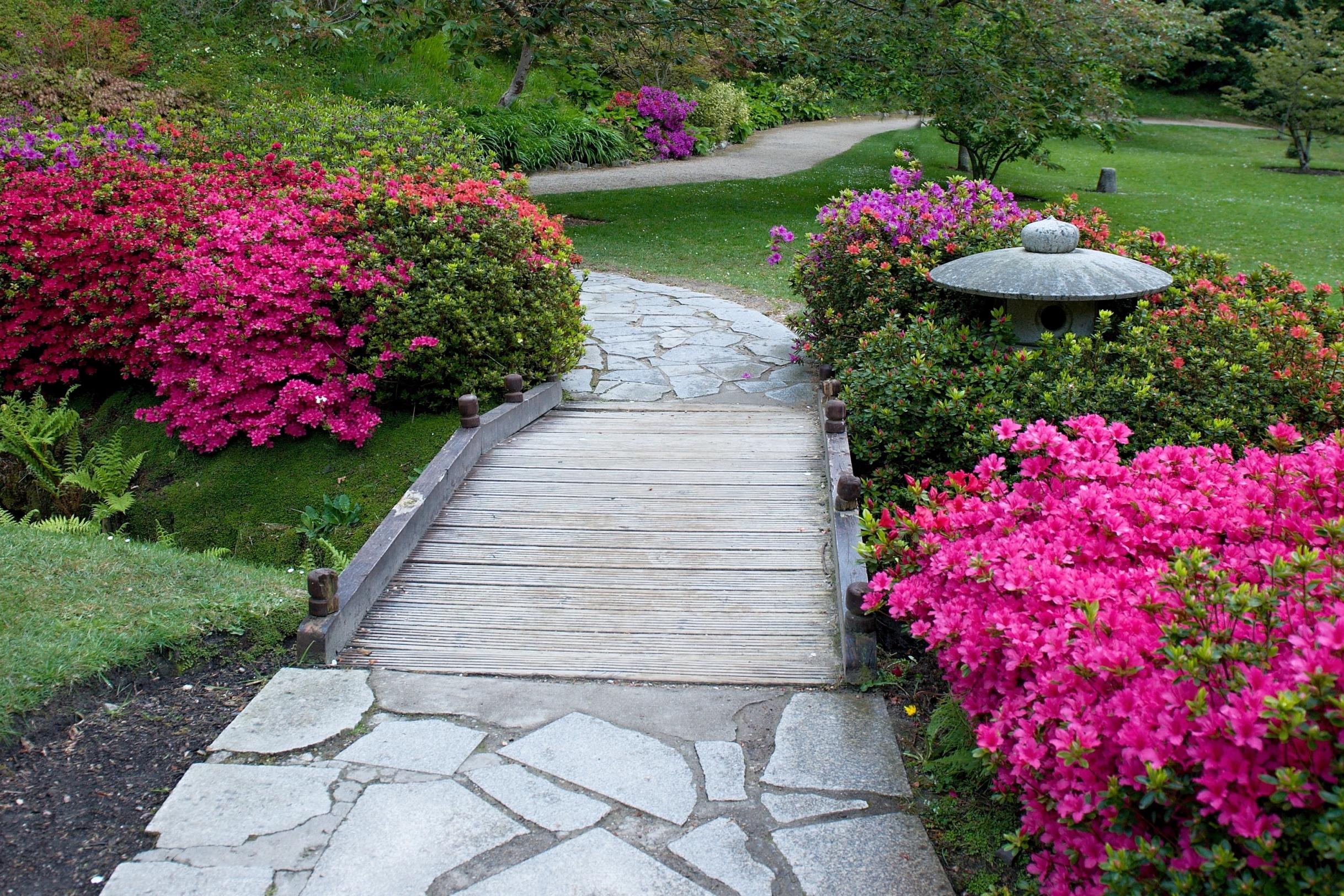 Zahrada s duší - Gabriela Nováková foto 2