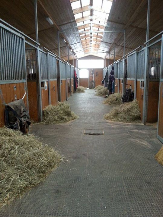 Jezdecký klub FOR-HORSES foto 2