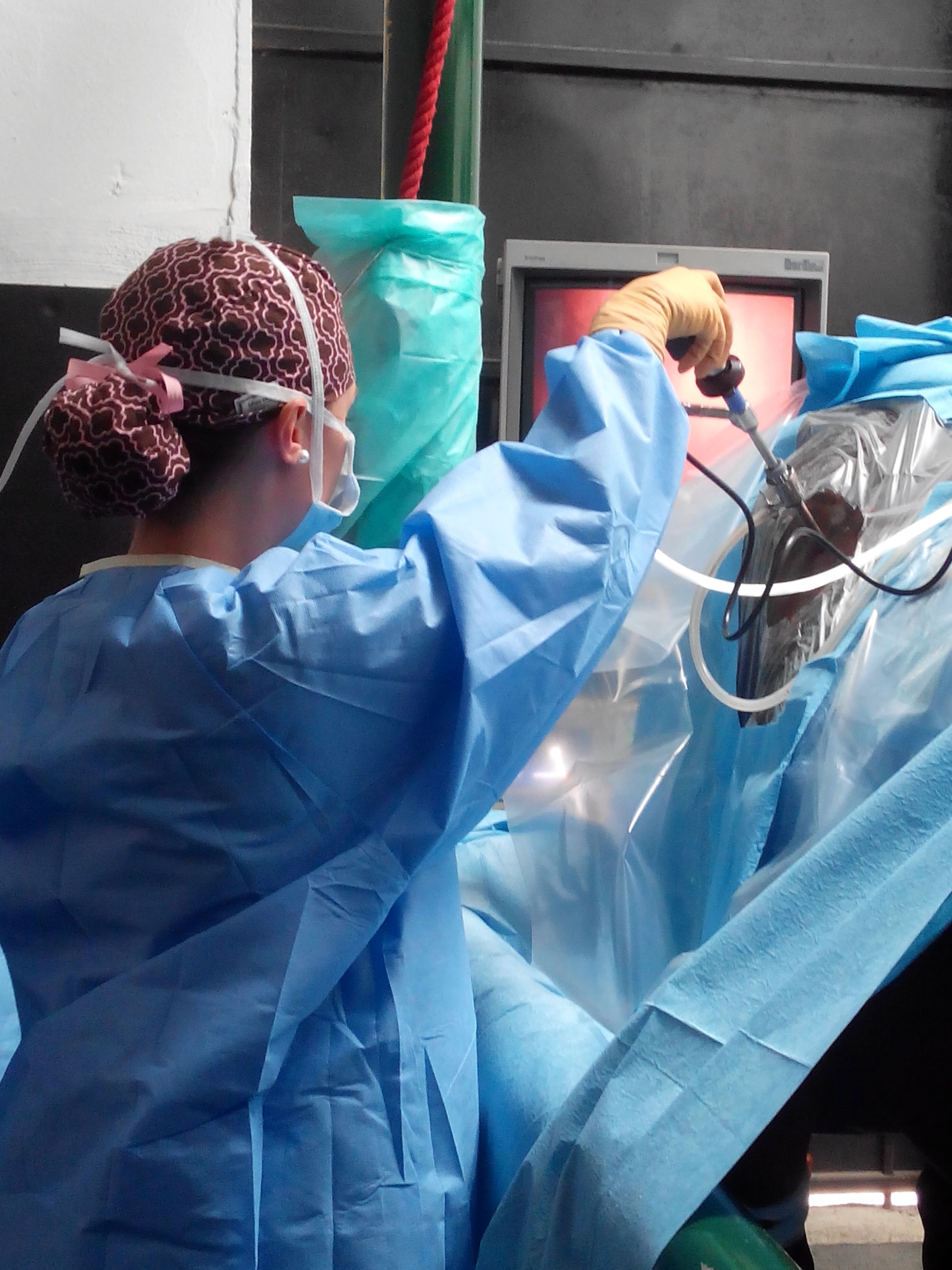 MVDr. Martina Vašíčková - veterinární výjezdová služba foto 2