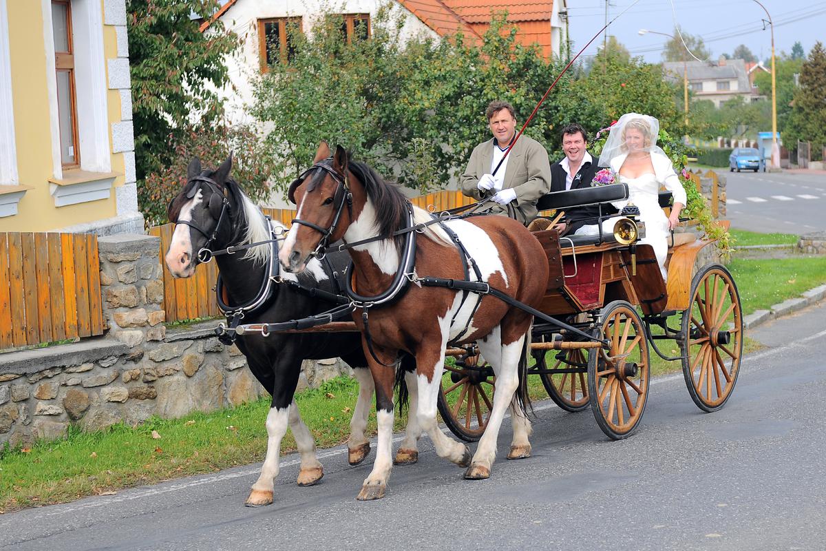 Koně Urych foto 2