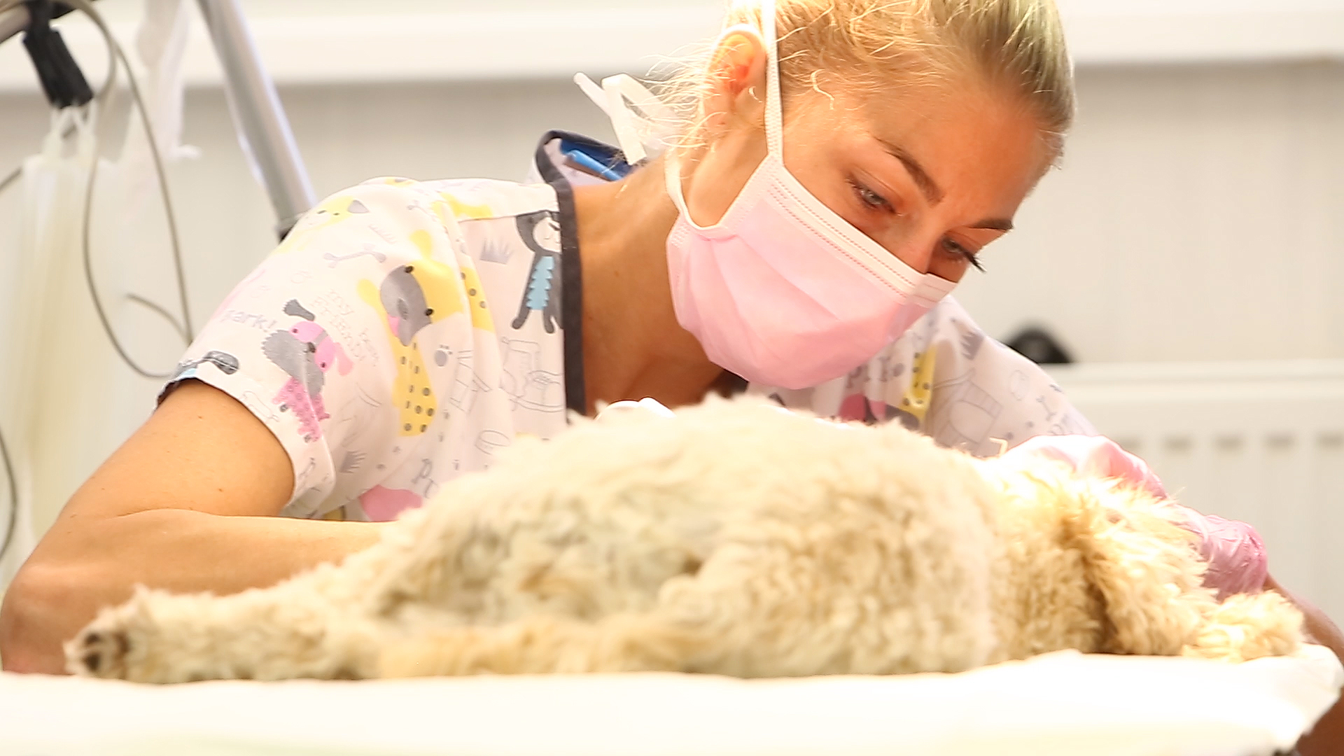 VETCENTRUM Duchek s.r.o. foto 3