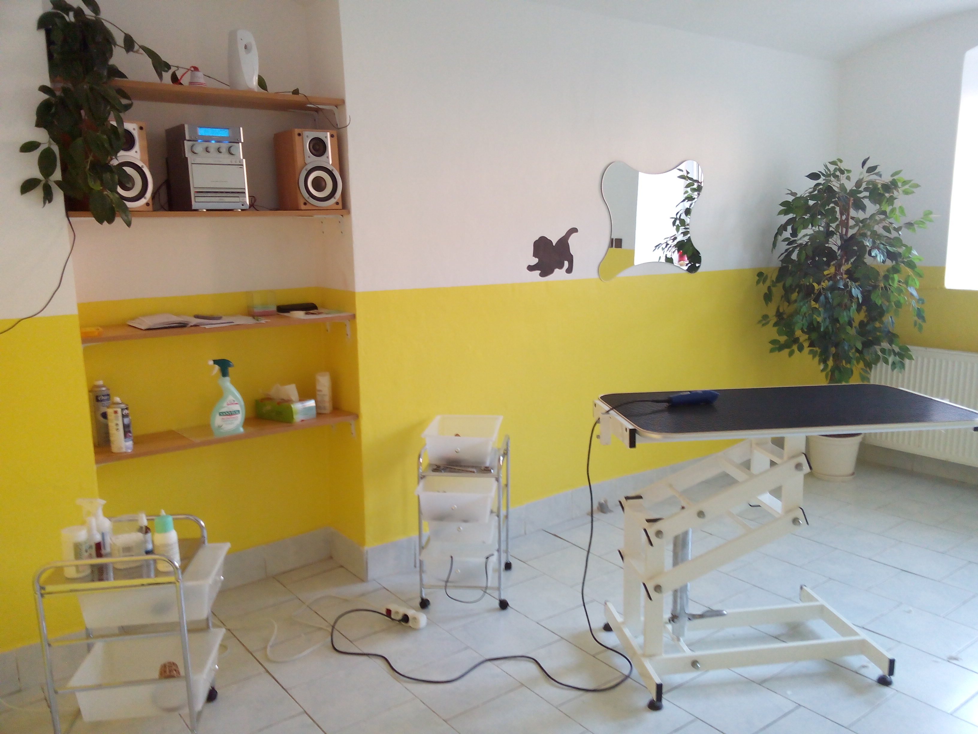 Salon Sindy foto 2